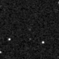 2019smf_image