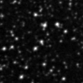 2019sml_image