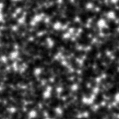 2019som_image