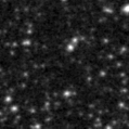 2019son_image
