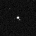 2019spo_image