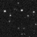 2019spp_image