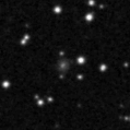 2019sqd_image