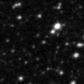 2019sqx_image
