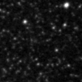 2019srd_image