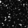 2019srl_image