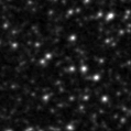 2019srn_image