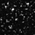2019srq_image