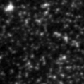 2019sry_image