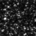 2019ssa_image