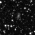2019stf_image