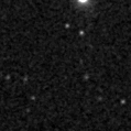 2019stz_image