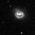 2019svd_image