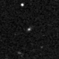 2019svl_image