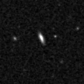 2019svp_image