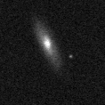 2019swr_image
