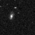 2019sws_image