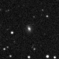 2019syf_image