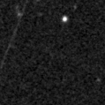 2019syw_image
