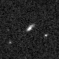 2019syz_image