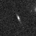 2019szd_image