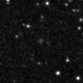 2019szi_image