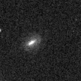 2019szo_image