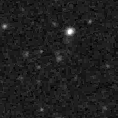 2019szt_image