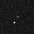 2019tai_image