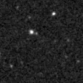 2019tan_image