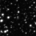 2019taz_image