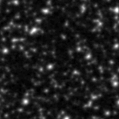 2019tcc_image