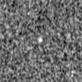 2019tcn_image