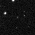 2019tcp_image
