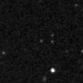 2019ted_image