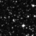 2019tfp_image