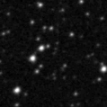 2019tft_image