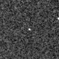 2019tgl_image