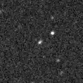 2019thm_image