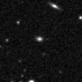 2019thv_image