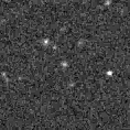 2019tii_image