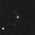 2019tis_image