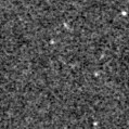 2019tjd_image