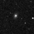 2019tjy_image