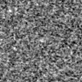 2019tld_image