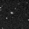 2019tlj_image