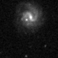 2019tls_image