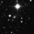 2019tmq_image