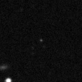 2019tnc_image