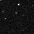 2019tni_image